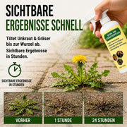 🔥2026 ANGEBOT – Schnell wirkendes natürliches Unkraut- & Grasbekämpfungsspray