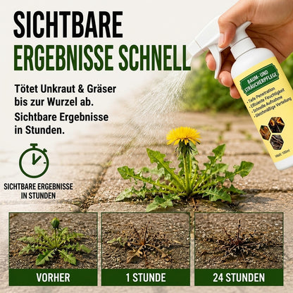 🎁 Exklusiv-Angebot | Nur noch 5 Flaschen verfügbar — heute zusätzlich 80% RABATT auf das schnell wirkende natürliche Unkraut- & Grasbekämpfungsspray. Jetzt sichern! 🎁
